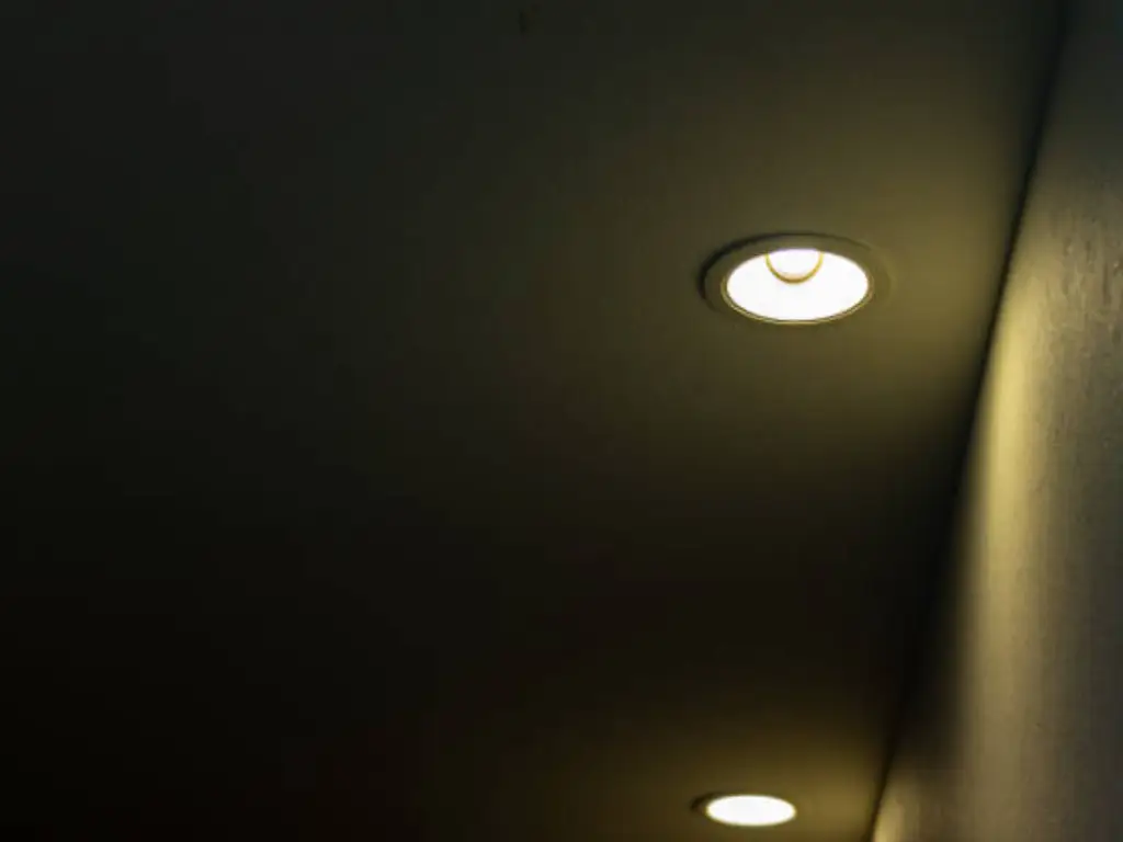 dimmable led bulbs