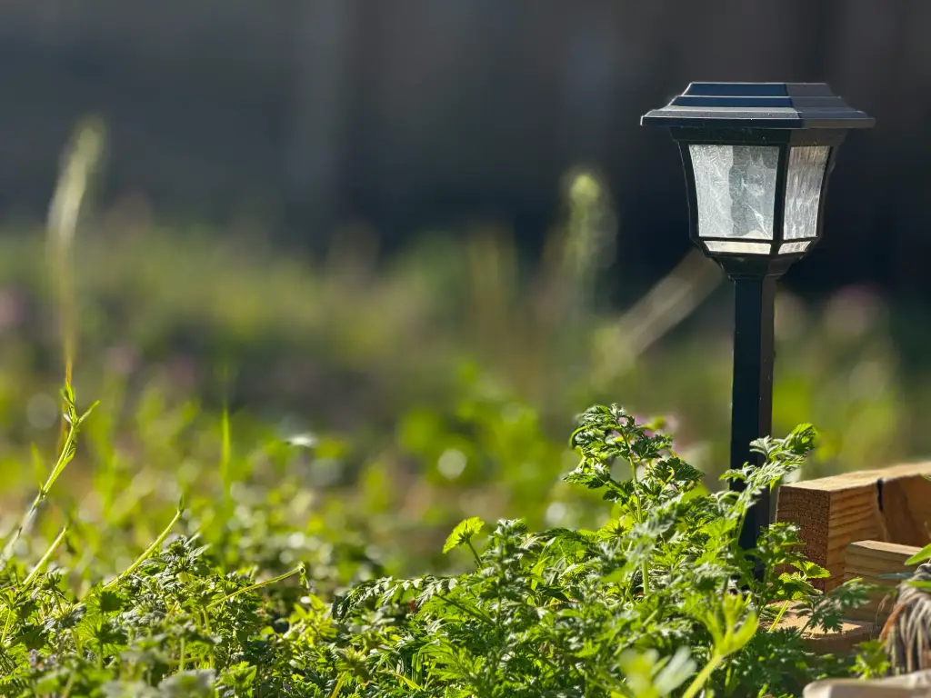Ein üppig grüner Garten mit Solarleuchten im Freien