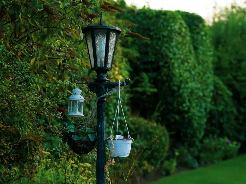 Ein üppig grüner Garten mit Solarleuchten im Freien
