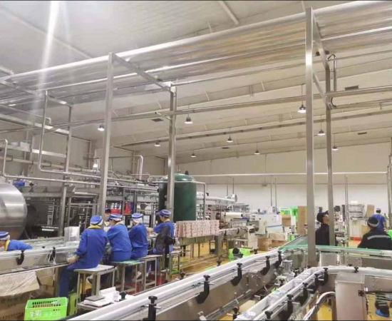 LED High Bay Light Project for Dairy Processing Factory