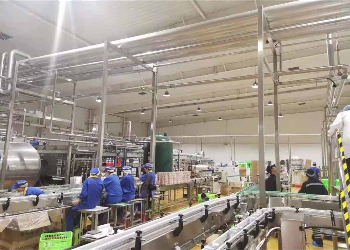 LED High Bay Light Project for Dairy Processing Factory