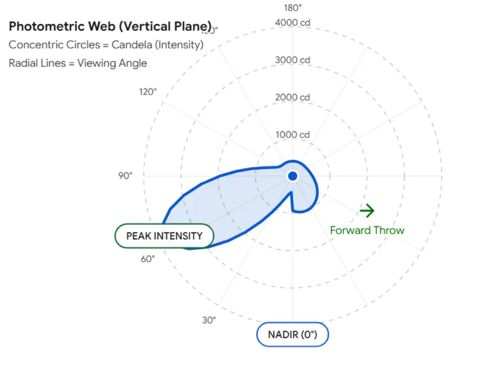 Curva polar Concepto 2